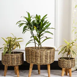 DecorTwist 3 Pcs Brown Seagrass Planter with Stand image 1
