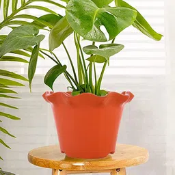 Kuber Industries Orange & Yellow 2 Pieces Blossom Planters image 1