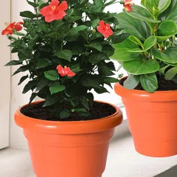 Kuber Industries Orange 3 Pieces 2 Layered Planters image 1