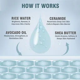 GLAMVEDA Set Of 2 Rice & Ceramide Vitalizing Body Lotion - 200 ml Each image 3