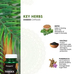 Sheopal's Set Of 3 Herbal Diabdex Capsules - 30 Capsules image 5