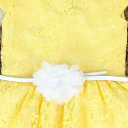 The Lion and The Fish Fit & Flare Dress image 4