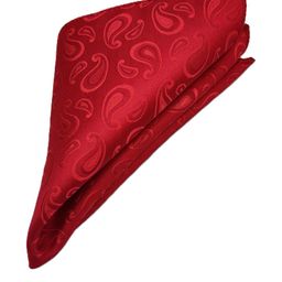 VOICI Paisley Printed Pocket Squares-picture-17