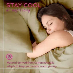 Trance Home Linen Beige Pure Cotton 300 TCFitted Single Bedsheet Set 1.83 mx 0.76 m image 3