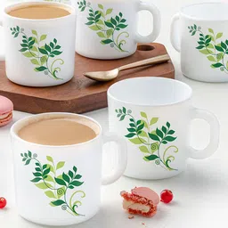 Larah by BOROSIL Set Of 6 White & Green Printed Opalware Matte Cups-picture-23