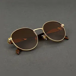 Irayz Unisex Brown Lens & Gold-Toned Round Sunglasses with-picture-15
