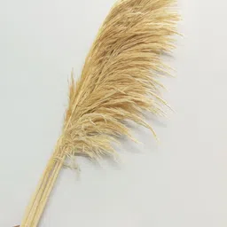 Vanchai Off White 5 Pieces Artificial Plant-picture-13