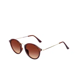 Eyedens Unisex Brown Lens & Brown Round Sunglasses with image 2