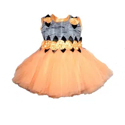 Samjho Fashion Georgette Fit & Flare Dress-image-84