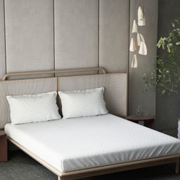 DDecor White & Green Polka Dots Printed 144 TC Cotton King Bedsheet Set 2.74 m x 2.74 m-picture-45