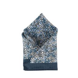 Alvaro Castagnino Men Blue Printed Pocket Squares-picture-19