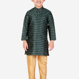 Pro-Ethic STYLE DEVELOPER Boys Green Ethnic Motifs Kurti with Churidar-picture-35