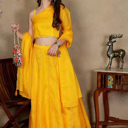 NEUDIS Striped One Shoulder Ready to Wear Lehenga & Blouse With Dupatta-picture-37