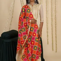 TEEJH Ethnic Motifs Embroidered Phulkari Dupatta-picture-42