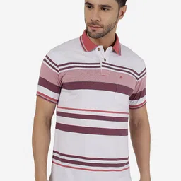 Greenfibre Striped Polo Collar Cotton Slim Fit T-shirt-picture-37