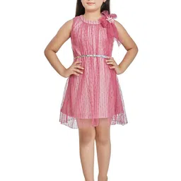 Peppermint Girls  Pink Net A-Line Dress-picture-45