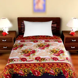 Supreme Home Collective Beige & Red Floral Printed 144 TC Single Bedsheet-image-83