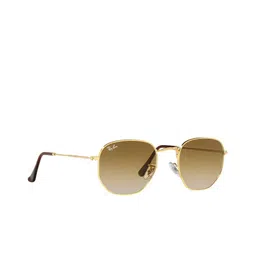 Ray-Ban Hexagonal Sunglasses with UV Protected Lens 8056597463829 image 1