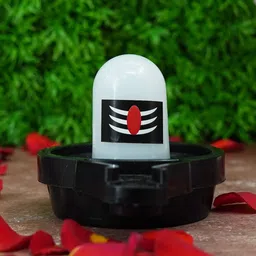 PujaNPujari White & Black Water Sensor Shivling Tiny Idol Showpiece-picture-27