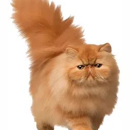 Wallpics Brown Cat Printed Water Resistant Wall Sticker-image-12