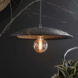 Achim Louvre Black Iron Hanging Light by Orange Tree-picture-25