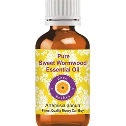 Deve Herbes Natural Therapeutic Grade Pure Sweet Wormwood Essential Oil - 15 ml-picture-28