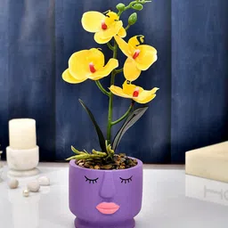 TAYHAA Yellow & Purple Orchids Plant With Ceramic Pot-picture-41