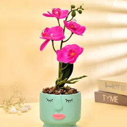 TAYHAA Green & Pink Orchids Artificial Flower With Ceramic Pot-picture-40