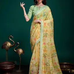 Mitera Floral Sequinned Organza Saree-picture-18