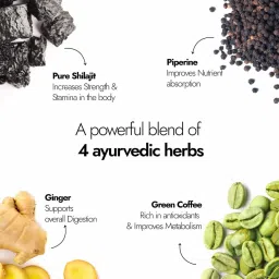 Kapiva Himfoods Shilajit Plus Fizz - Ayurvedic Energy & Boosting Effervescent Tablets image 4