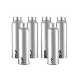 Pexpo Silver-Toned 6 Pieces Stainless Steel Single Wall Vacuum Water Bottle-image-5