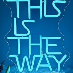 Neon signs india Blue This Is The Way LED String Light-picture-20