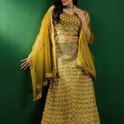 Sangria Ethnic Motifs Embroidered Sequinned Net Semi-Stitched Lehenga Choli-picture-26