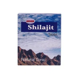 Ganga Shilajit Tablet-image-41