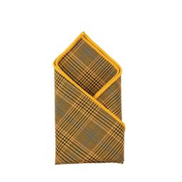 Alvaro Castagnino Men Checked Pocket Squares-picture-48