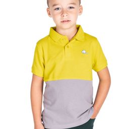 Cherry Crumble Boys Lime Green & Grey Colourblocked Polo Collar T-shirt-picture-19