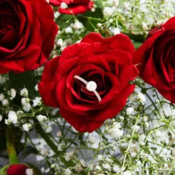 AMI Women Rose Gold-Plated Cubic Zirconia & Pearl -Studded Ring-image-51