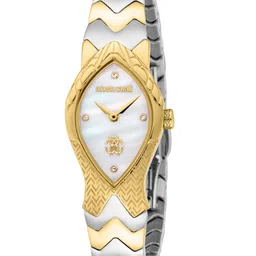 Roberto Cavalli Embellished Stainless Steel Bracelet Style Analogue Watch RC5L092M0055-picture-33