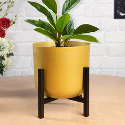 Homesake Black & Yellow Metal Pot Planter-image-7
