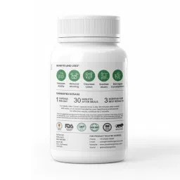 Foresta Organics Gut Health with Avipattikar Churna, Triphla & Trikatu -60 Capsules image 2