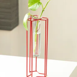 ExclusiveLane Transparent and Red Modern Glass Garden Glass Test Tube Planters With Holder-picture-19