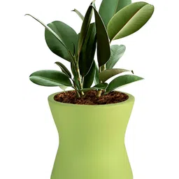 LASAKI Damru Lime Green Ceramic Planter-picture-25