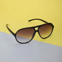 Carlton London Women Black Lens & Black Browline Sunglasses with UV Protected Lens-picture-33