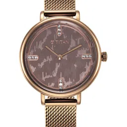 Titan Women Brown Dial & Brown Stainless Steel Bracelet Style Straps Analogue Watch 95175QM01-picture-33