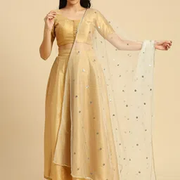 Dupatta Bazaar Polka Dots Embroidered Sequinned Net Dupatta-picture-34