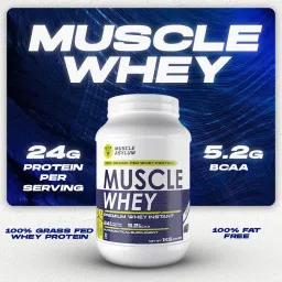 Muscle Asylum Premium 100% Whey Protein, 24g Protein, 5.2g Bcaa, For Muscle Building & Recovery ,25 Servings (Cookie & Cream)-1kg (2.2 lbs), Box image 3
