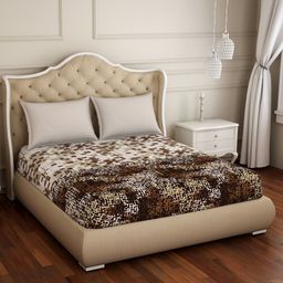 SPACES  Atrium Plus Brown & Cream Geometric 210 TC Cotton Queen Bedsheet & 2 Pillow Covers-picture-7