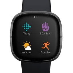 Fitbit Black Sense Advanced Smartwatch with BT Calling-picture-15