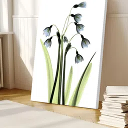 Art Street White & Green Floral & Botanical Canvas Wall Art-picture-27
