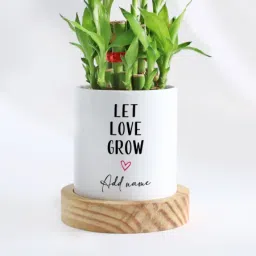 Let Love Grow - 2-Layer Bamboo Plant With Pot - Personalized image 3
